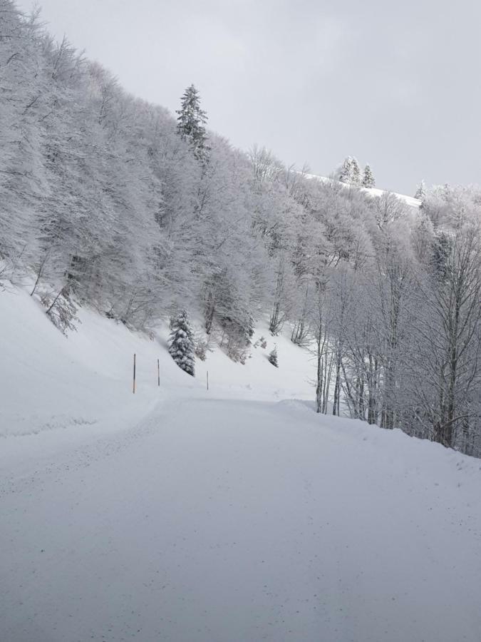 Chalet Confort Aloya Ranspach Esterno foto